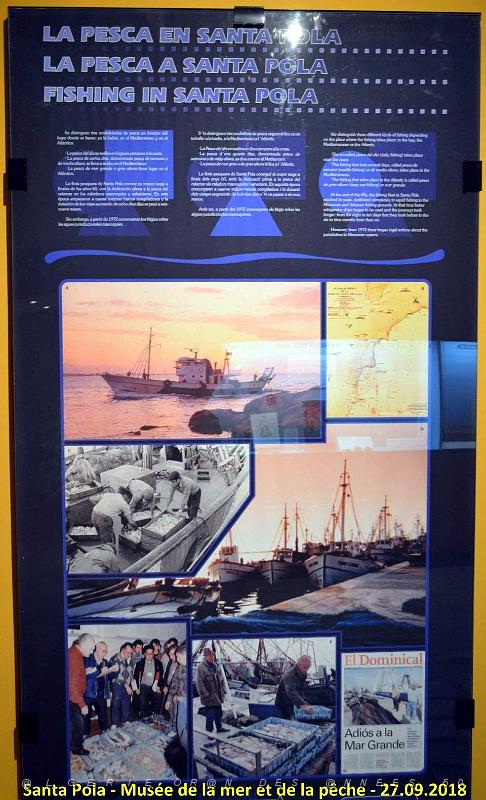 35 SANTA POLA - MUSEE DE LA MER ET DE LA PECHE (43).JPG
